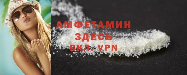 твердый Инсар