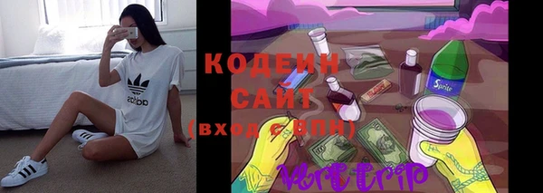 гашик Зерноград