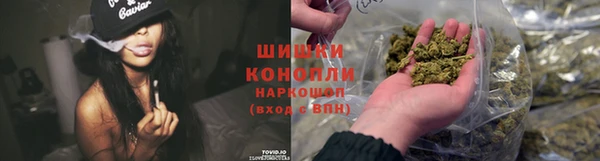 гашик Зерноград