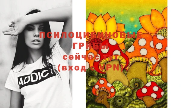твердый Инсар