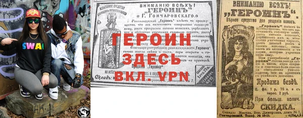 индика Инта