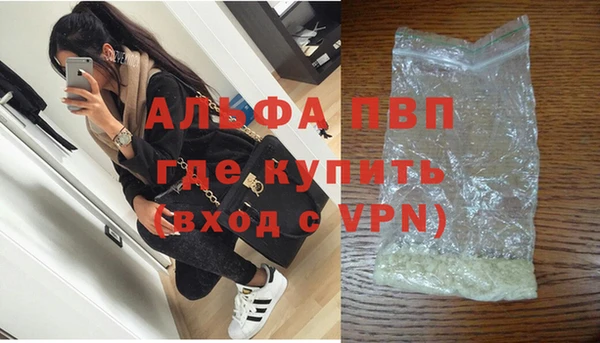 индика Инта