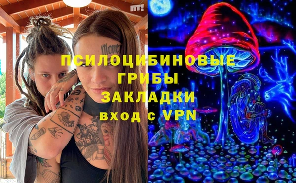 индика Инта