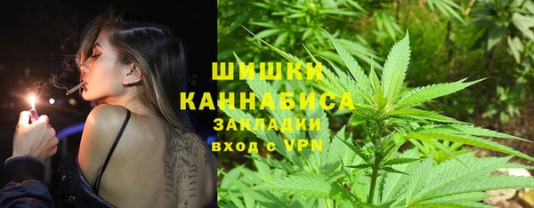 гашик Зерноград