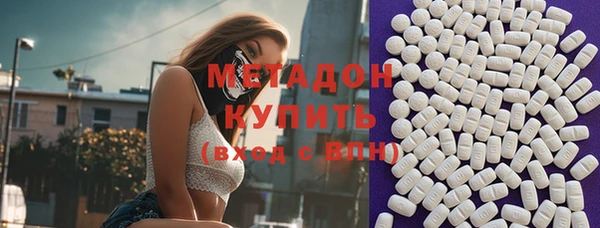 индика Инта
