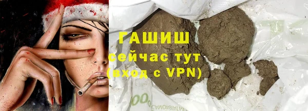 индика Инта