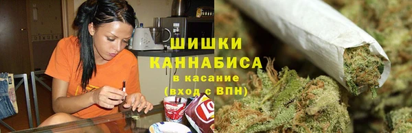 гашик Зерноград