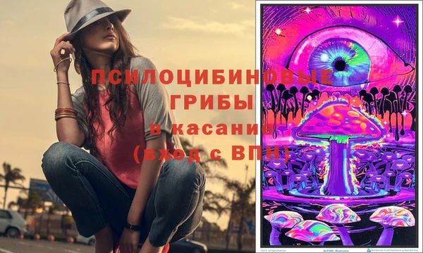 твердый Инсар