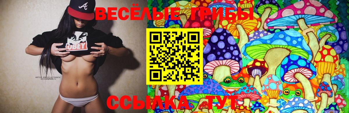 Камень-на-Оби  где продают наркотики  Вход с VPN  Псилоцибиновые грибы Psilocybine cubensis  Галлюциногенные грибы мицелий 