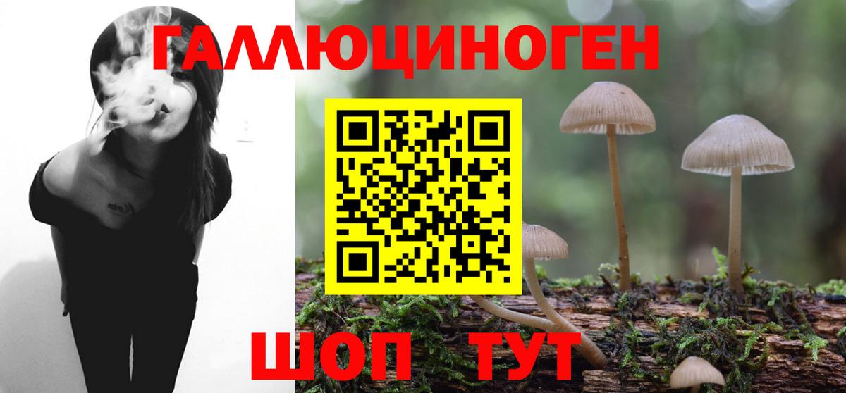 Псилоцибиновые грибы мицелий Камень-на-Оби